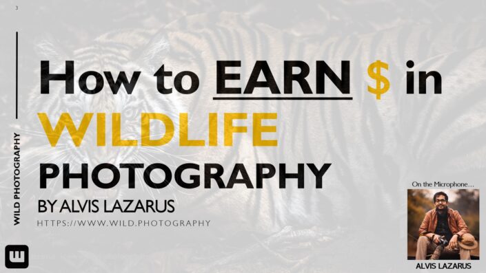 Earn Money Through Wildlife Photography Alvis Lazarus