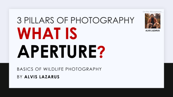 What is Aperture 3 Pillars of Photography Wild Photography Alvis Lazarus