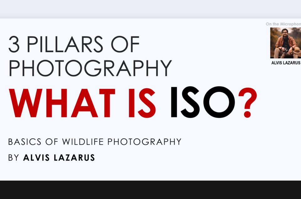 3 Pillars Of Photography What is ISO By Alvis Lazarus