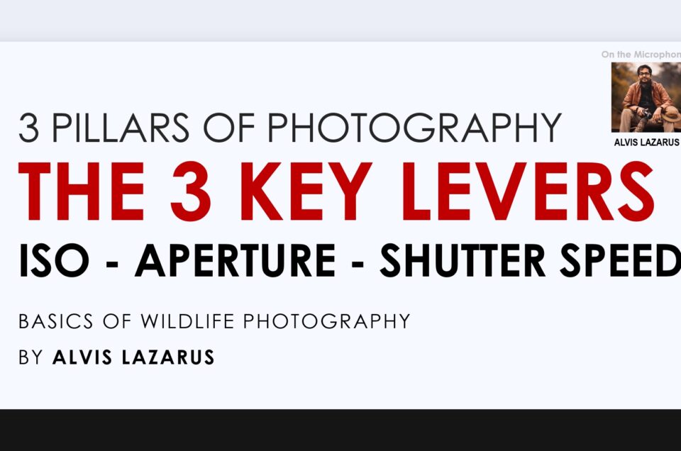 3 Key Levers in Wildlife Photography - ISO, Shutter Speed & Aperture! Master to take Stunning Shots!