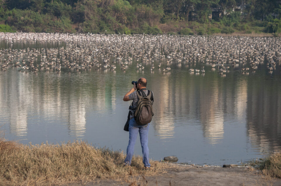 Meet the passionate birder, the FLAMINGO MAN of India